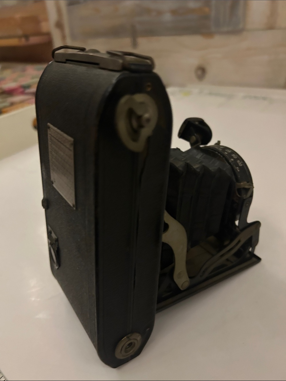 Classic Folding Bellows Camera — Black - Picture 4 of 8